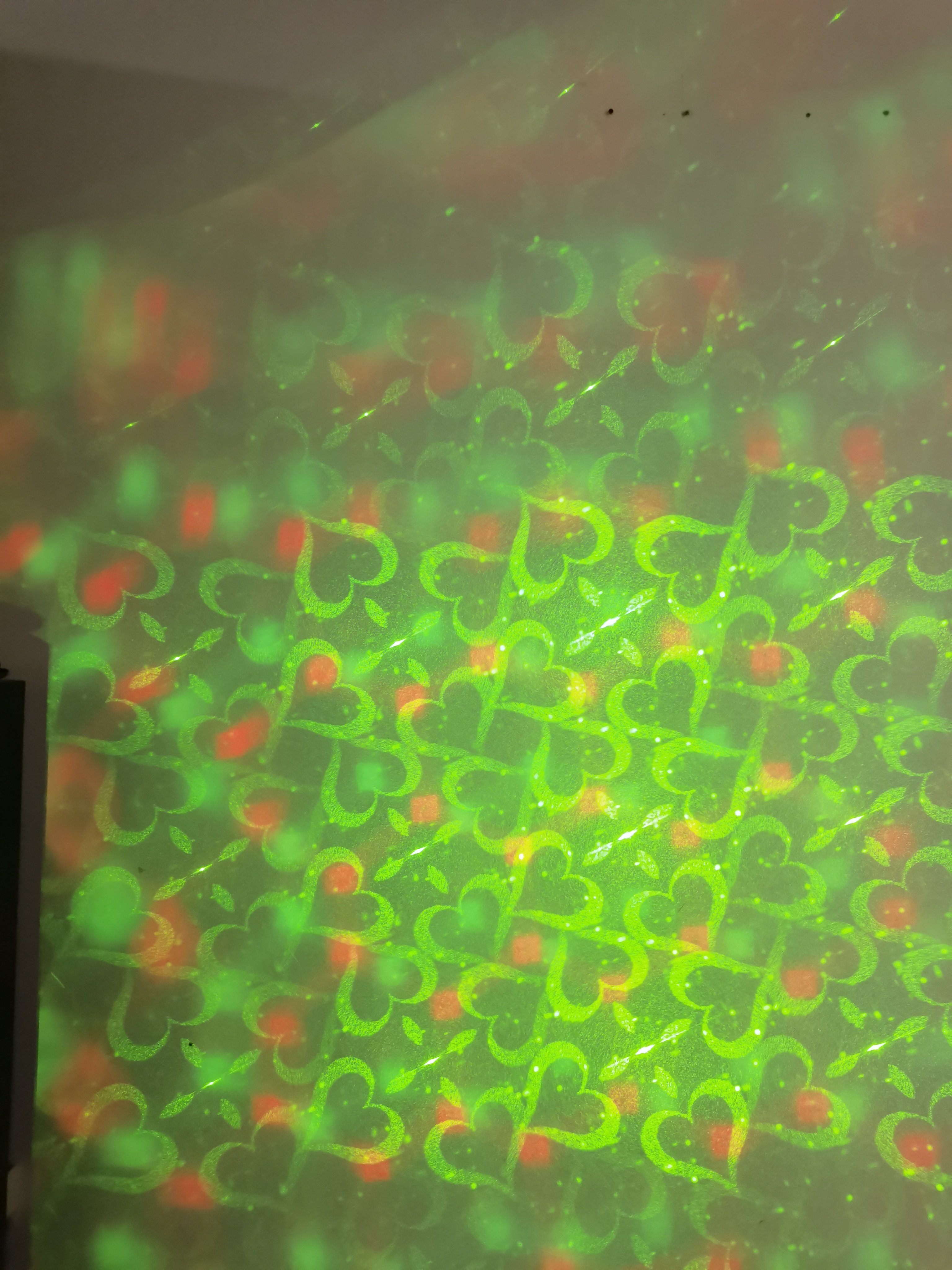 RG-24 Laser Light