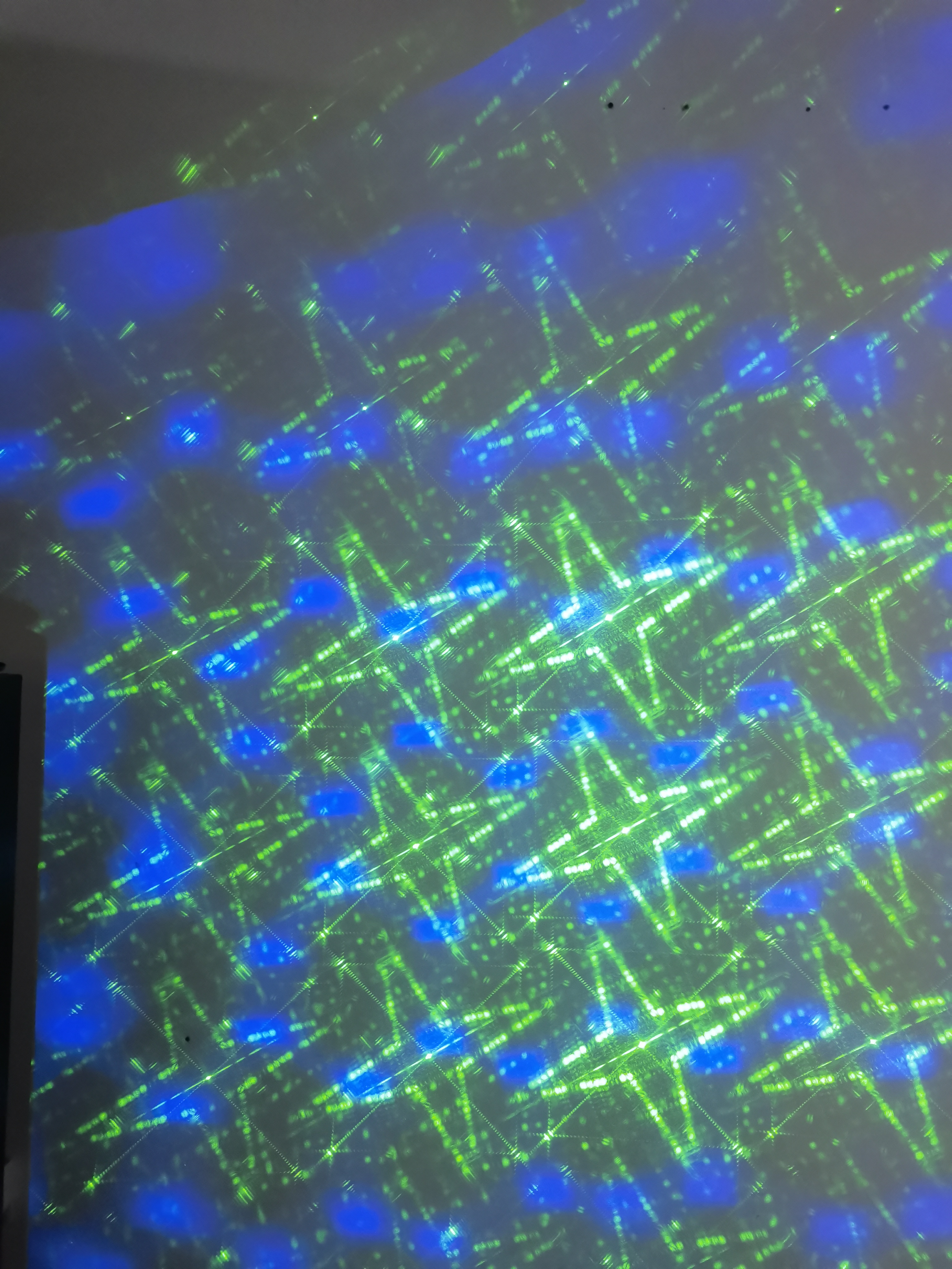 RG-24 Laser Light