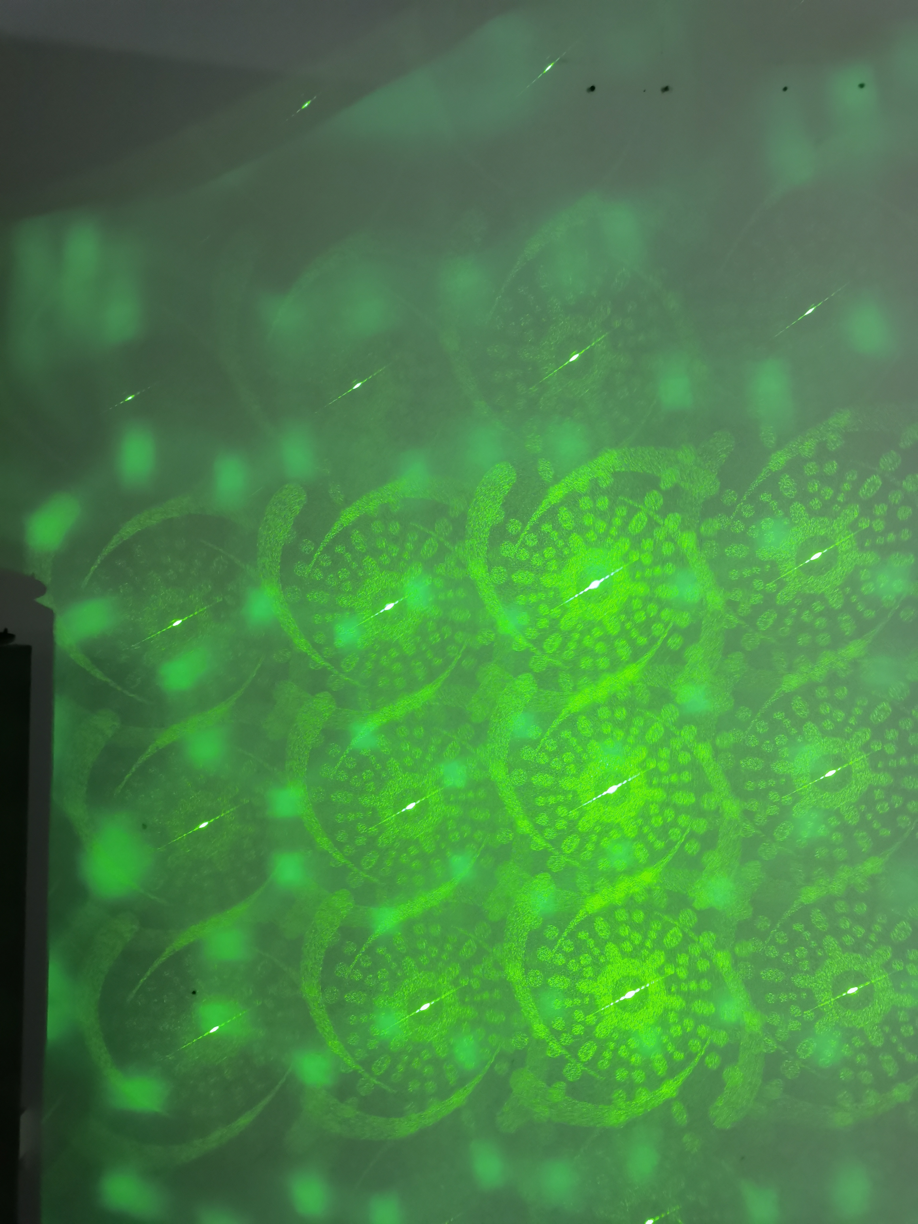 RG-24 Laser Light
